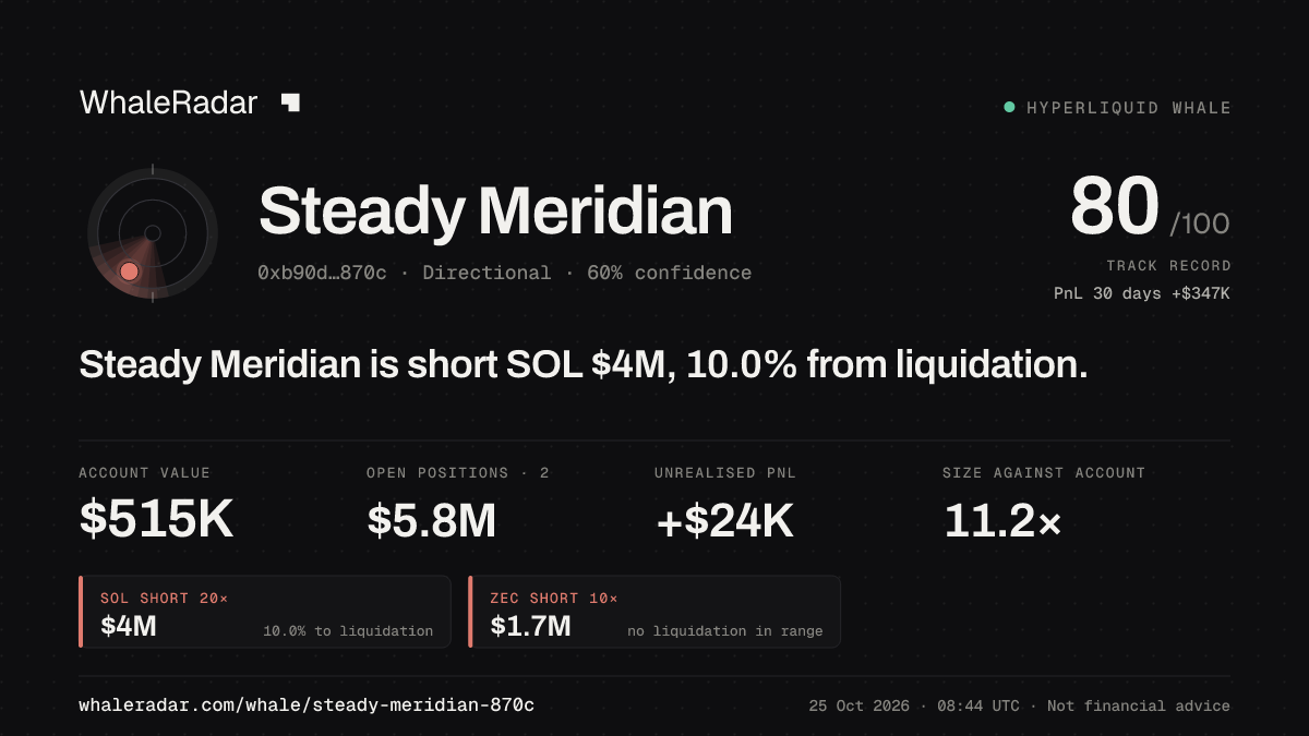 Share card for Steady Meridian: Steady Meridian is short SOL $4.1M, 8.9% from liquidation.