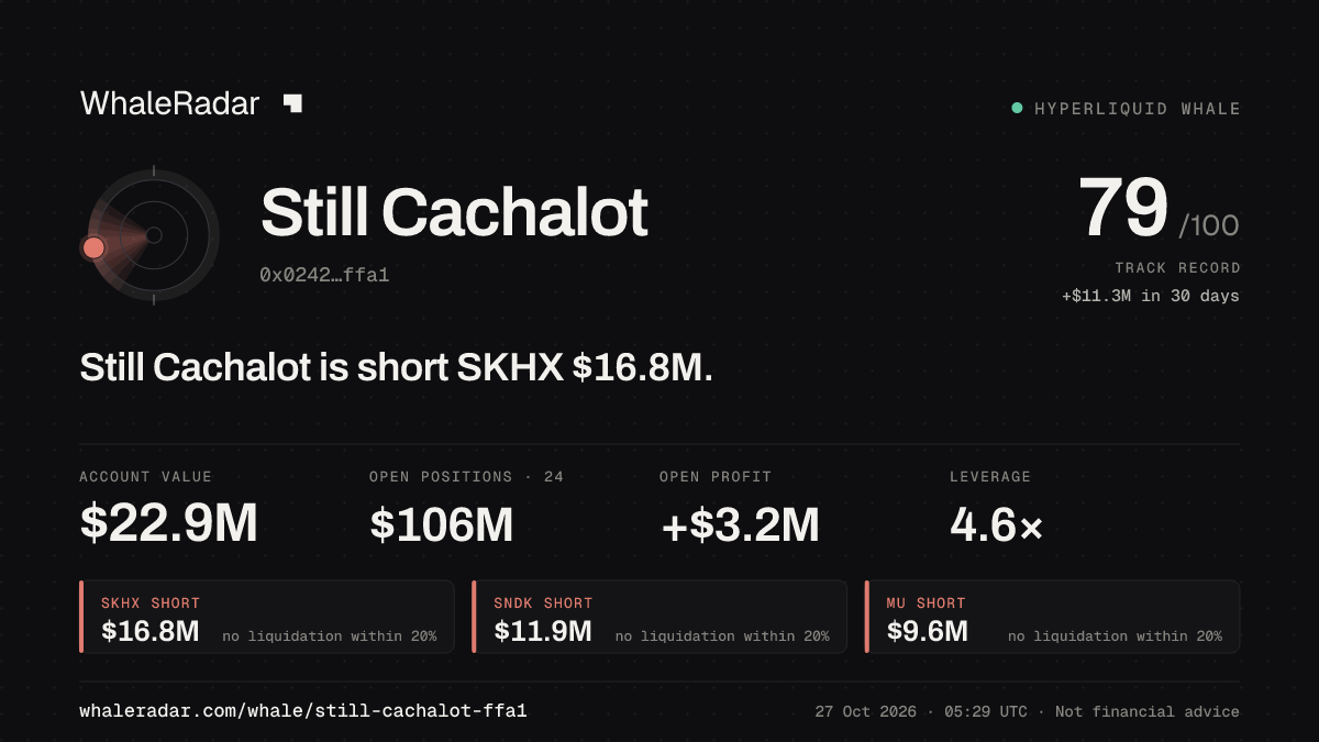 Still Cachalot 공유 카드: Still Cachalot: SKHX 숏 1,699만 달러.