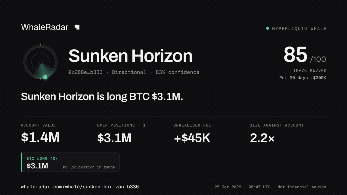 Share card for Sunken Horizon: Sunken Horizon is long BTC $3.1M.