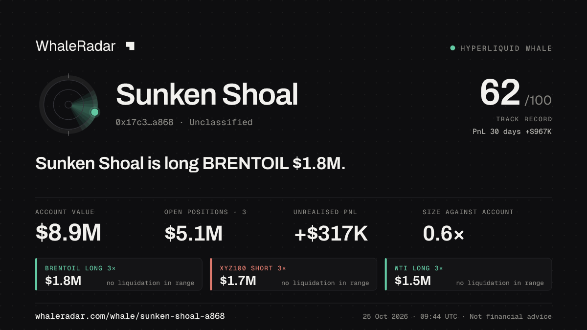 「Sunken Shoal」分享卡片:Sunken Shoal 持有 BRENTOIL 181 万美元 多单。