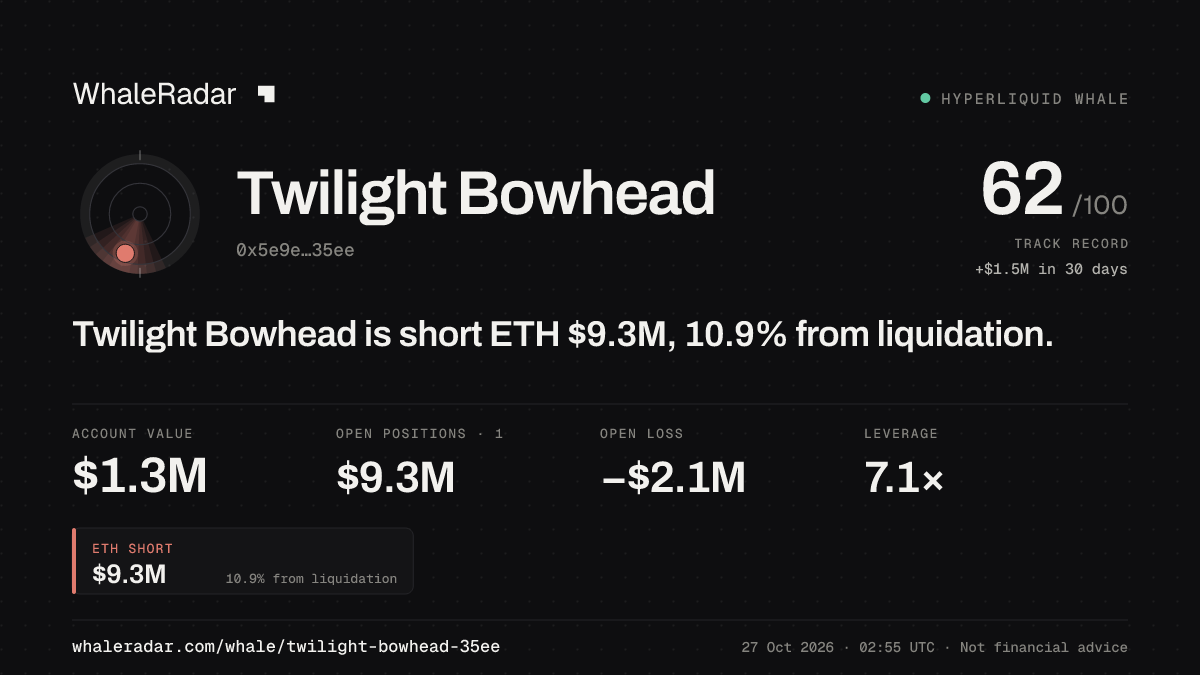 Share card for Twilight Bowhead: Twilight Bowhead is short ETH $9.3M, 10.2% from liquidation.