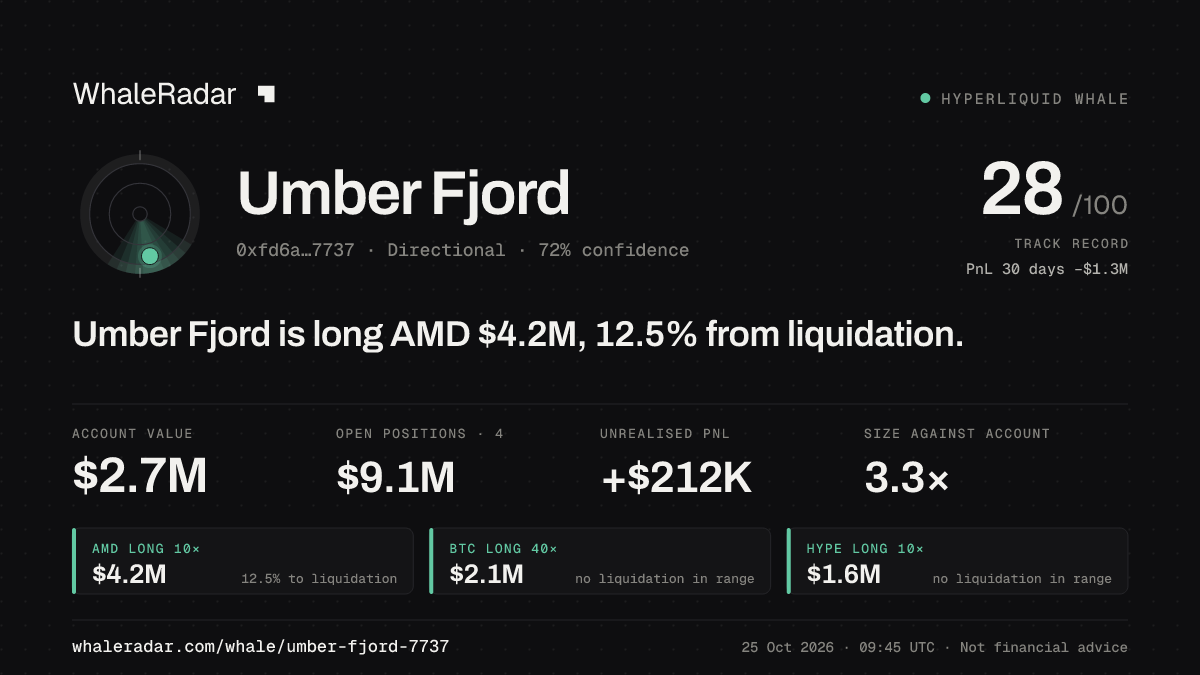 Share card for Umber Fjord: Umber Fjord is long AMD $4.2M, 12.6% from liquidation.