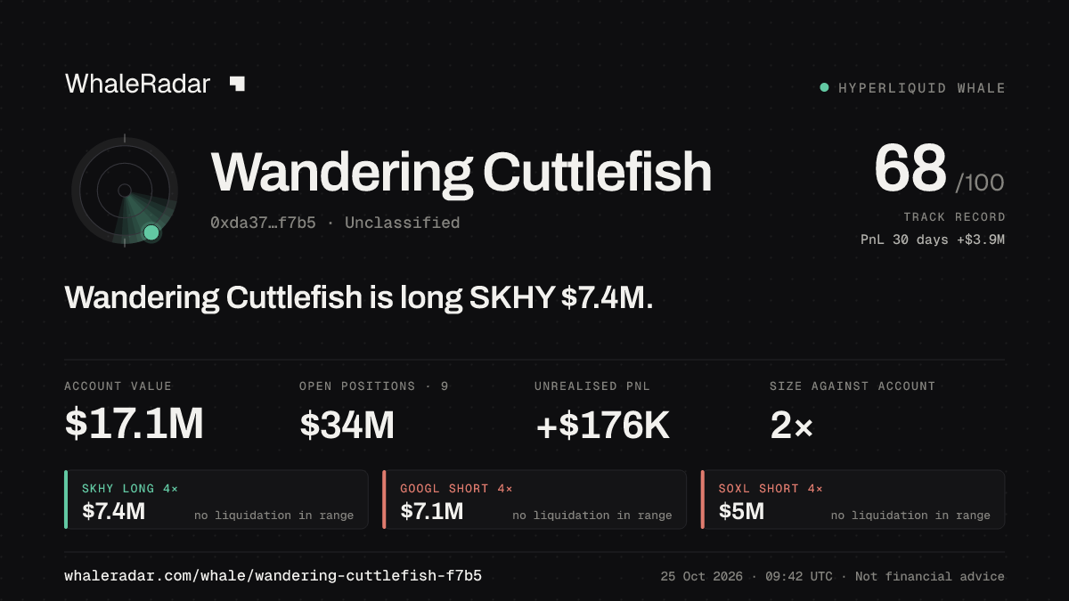 Share card for Wandering Cuttlefish: Wandering Cuttlefish is long SKHY $7.4M.