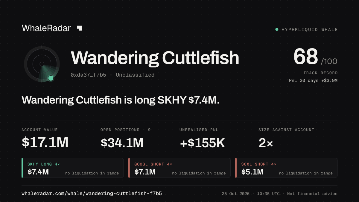 「Wandering Cuttlefish」分享卡片:Wandering Cuttlefish 持有 SKHY 738 万美元 多单。