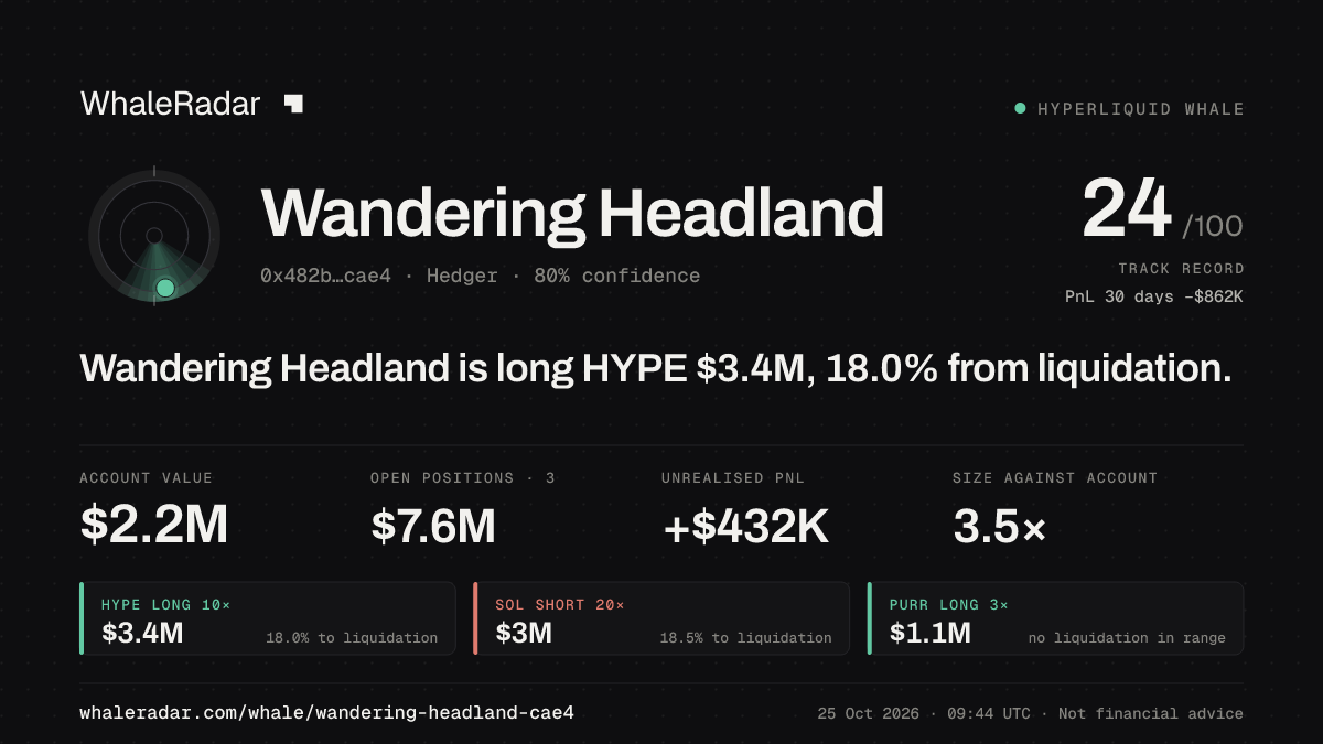 Share card for Wandering Headland: Wandering Headland is long HYPE $3.4M, 17.4% from liquidation.