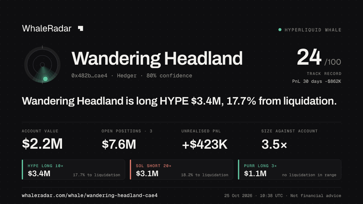 「Wandering Headland」分享卡片:Wandering Headland 持有 HYPE 340 万美元 多单,距爆仓 18.0%。