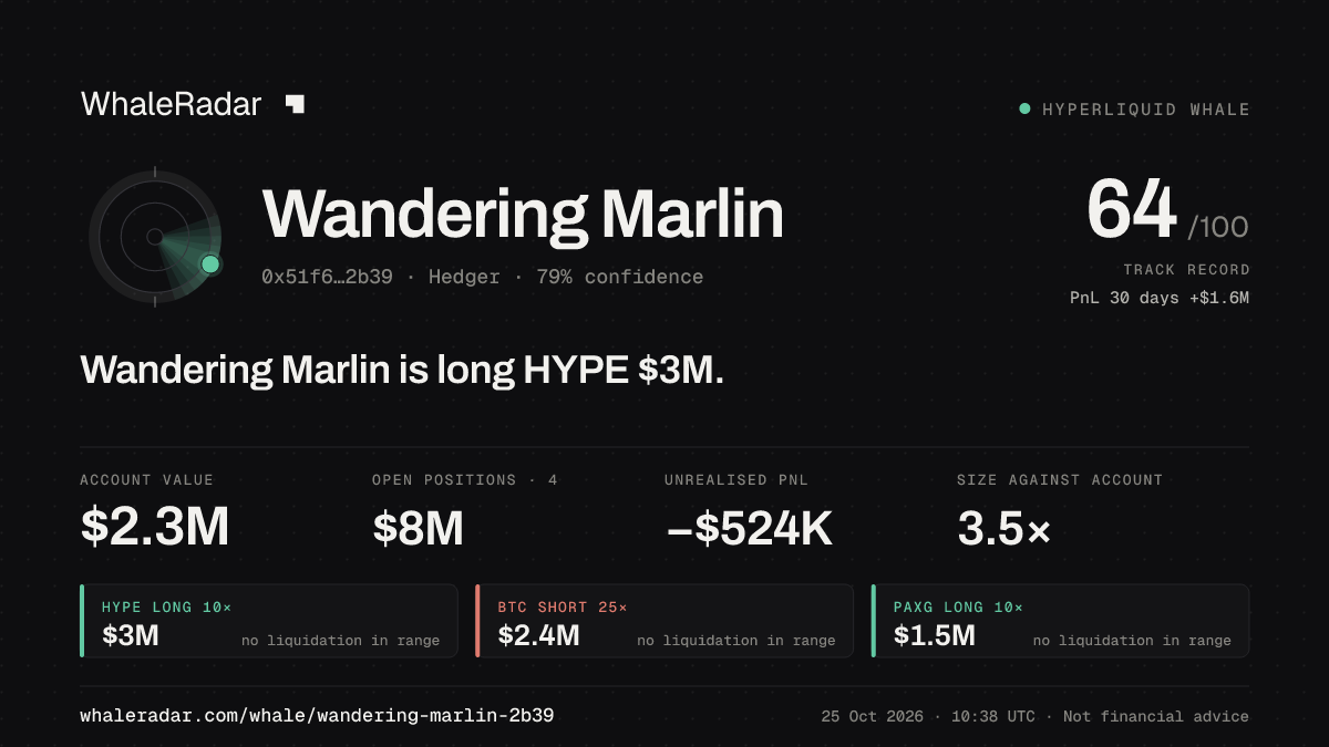 「Wandering Marlin」分享卡片:Wandering Marlin 持有 HYPE 298 万美元 多单。