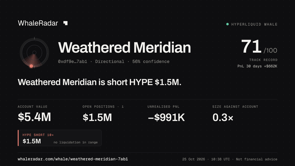 「Weathered Meridian」分享卡片:Weathered Meridian 持有 HYPE 151 万美元 空单。