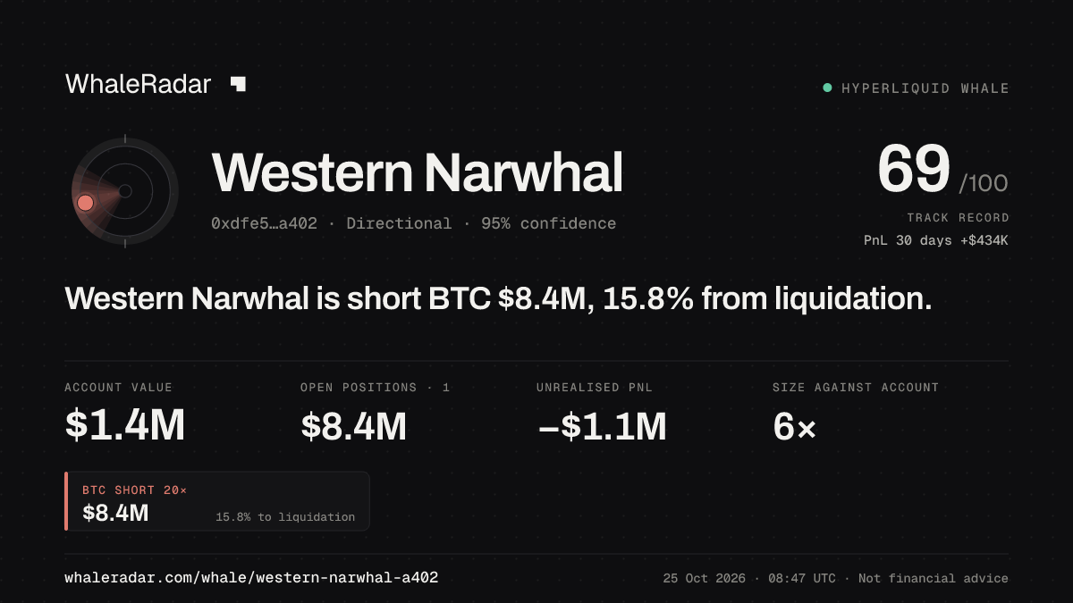 Share card for Western Narwhal: Western Narwhal is short BTC $8.4M, 15.5% from liquidation.