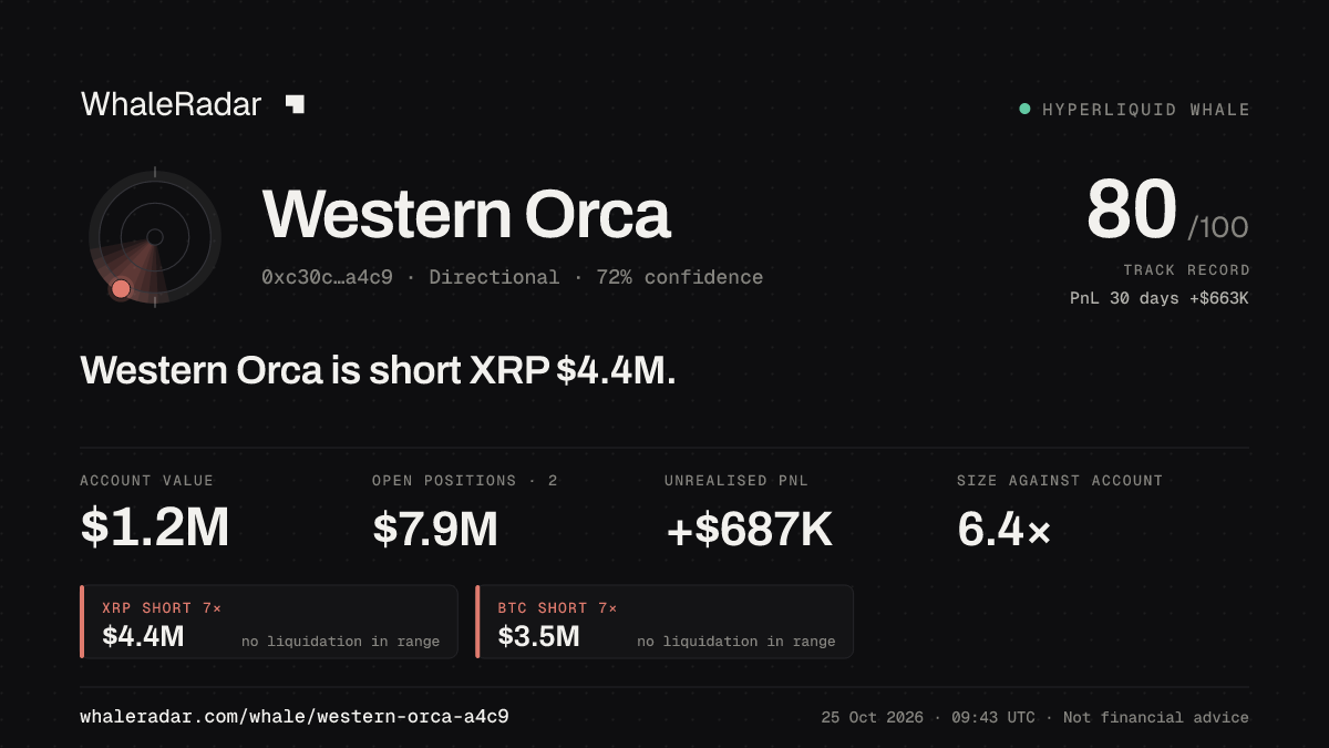 「Western Orca」分享卡片:Western Orca 持有 XRP 443 万美元 空单。