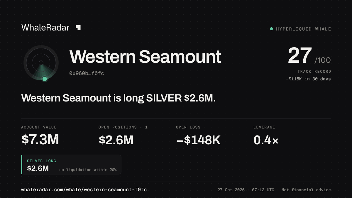 「Western Seamount」分享卡片:Western Seamount 持有 SILVER 263 万美元 多单。