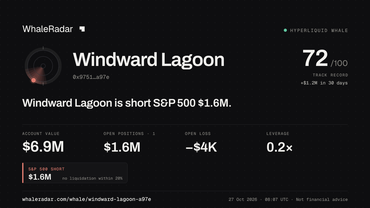 Windward Lagoon 공유 카드: Windward Lagoon: S&P 500 숏 161만 달러.