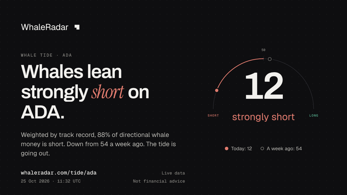 Share card: Whale Tide, ADA: 12 (strongly short), 25 Oct 2026, 10:34 UTC. Source: WhaleRadar, whaleradar.com/tide/ada