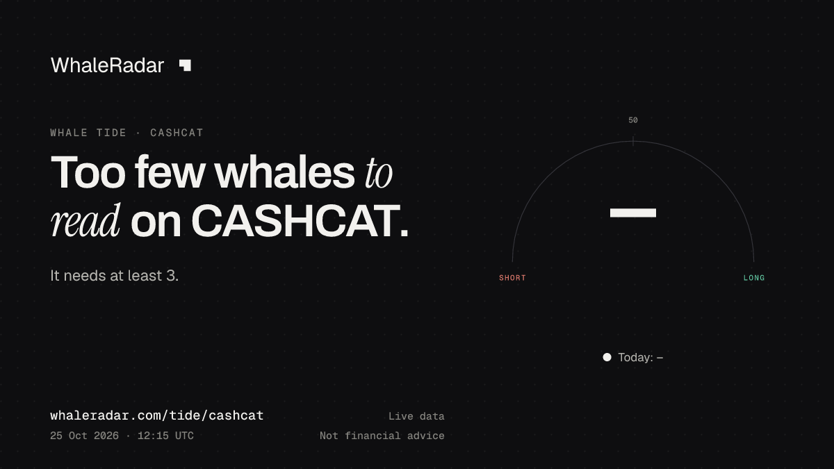 分享卡片:据 WhaleRadar 监测,鲸潮指数(CASHCAT)为 16(明显偏空)(2026 年 10 月 25 日 11:30 UTC)。来源:whaleradar.com/zh/tide/cashcat