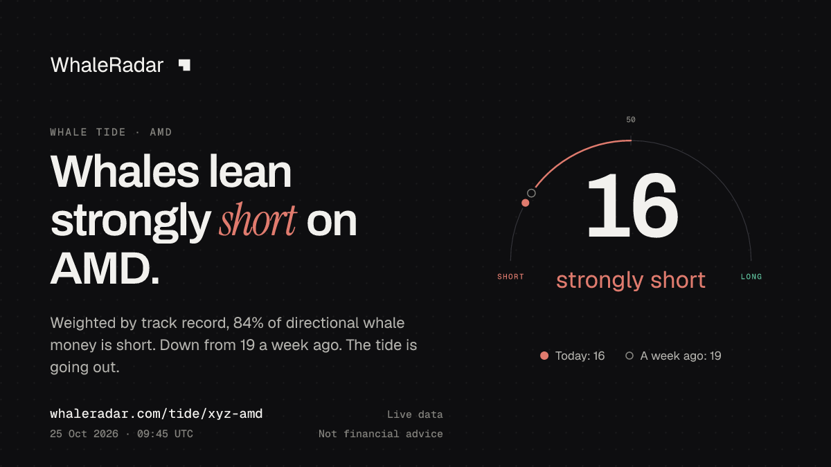 Share card: Whale Tide, AMD: 16 (strongly short), 25 Oct 2026, 08:39 UTC. Source: WhaleRadar, whaleradar.com/tide/xyz-amd